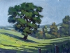 Tree-Study-One