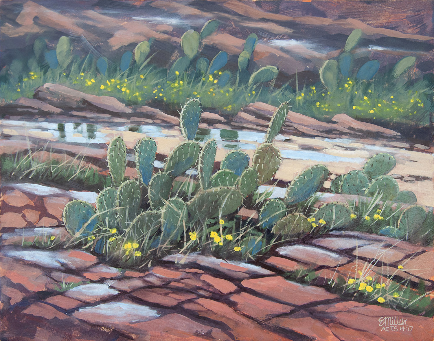Redrock-and-Cactus-1500px