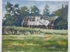 Barn-Casein-Study01