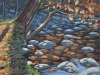 Little River - Before Winter