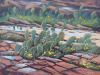 Redrock-and-Cactus-1500px
