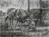 Lunchtime, 16 x 12 charcoal on gessoed  Yupo