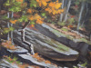 Fall-Glory-1500pxH