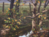 FallCreek-Alt-1500pxH