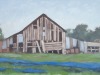 BlueBonnettBarn-1500px