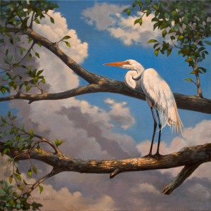 24 x 24 Oil on canvas called "First to the Roost". Depicts the Great White Egret.