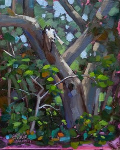 8 x 10 Oil on panel painted on location at the Fort Worth Nature Center by Texas Artist Steve Miller