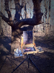 Plein Air Paint Box setup 