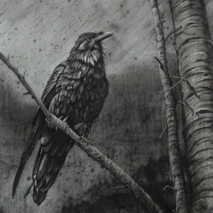 Consider the Ravens, 16 x 20 charcoal on gessoed Yupo