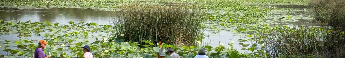 Plein Air Artist at Fort Worth Nature Center